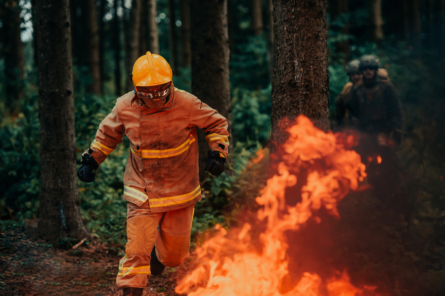 Prebuilt Houses: Fast and Affordable Solution for Post-Fire Rebuilding in Los Angeles
